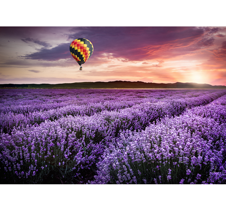 Lavender Field Tranquility flower wall mural - TenStickers