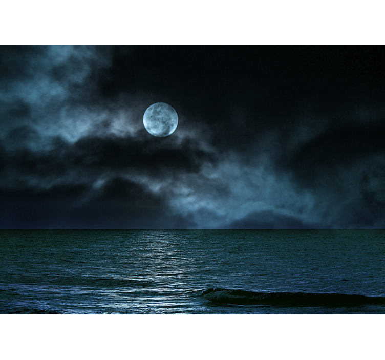 Moonlit Seascape sea animals wall mural - TenStickers