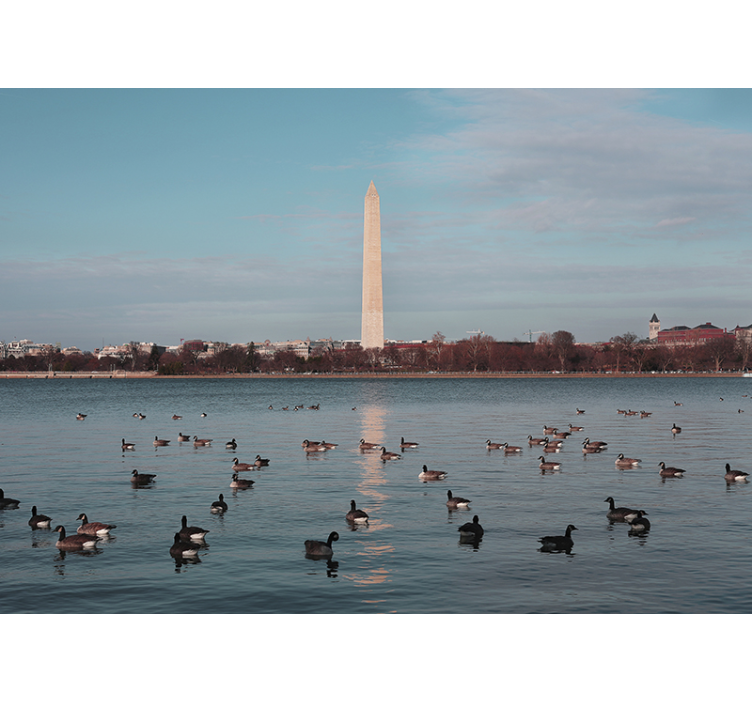 City wall mural washington monument reflection - TenStickers