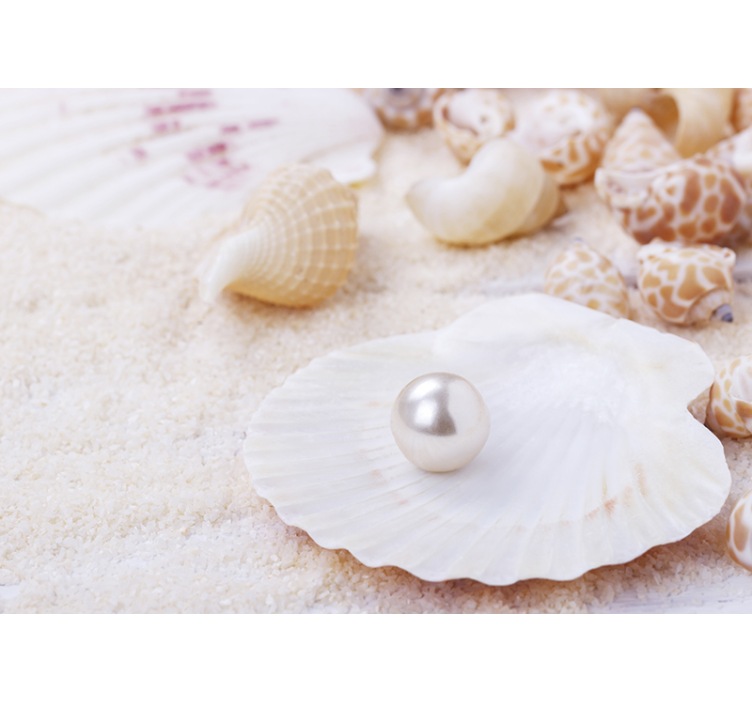 Nature wall mural shells with pearl - TenStickers