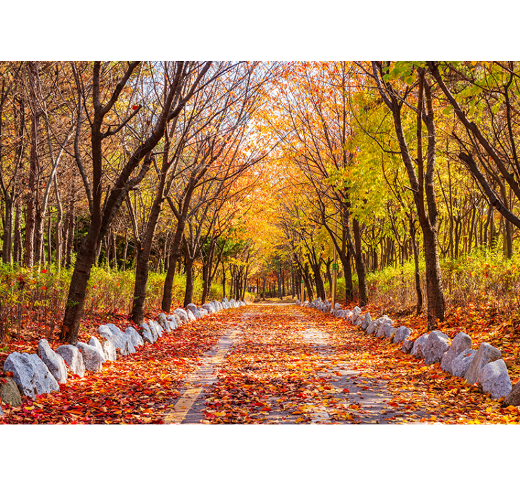 Nature wall mural autumn pathway leaves - TenStickers