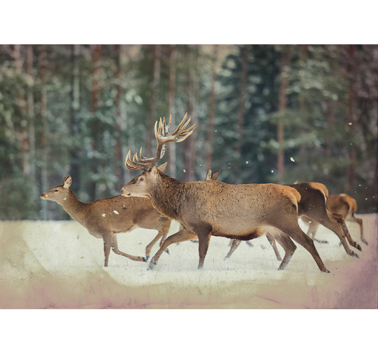 Majestic Deer Herd animal wall mural - TenStickers