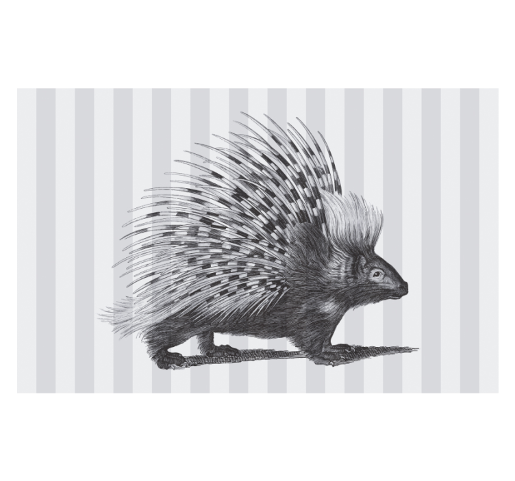 Animal wall mural porcupine quills design - TenStickers