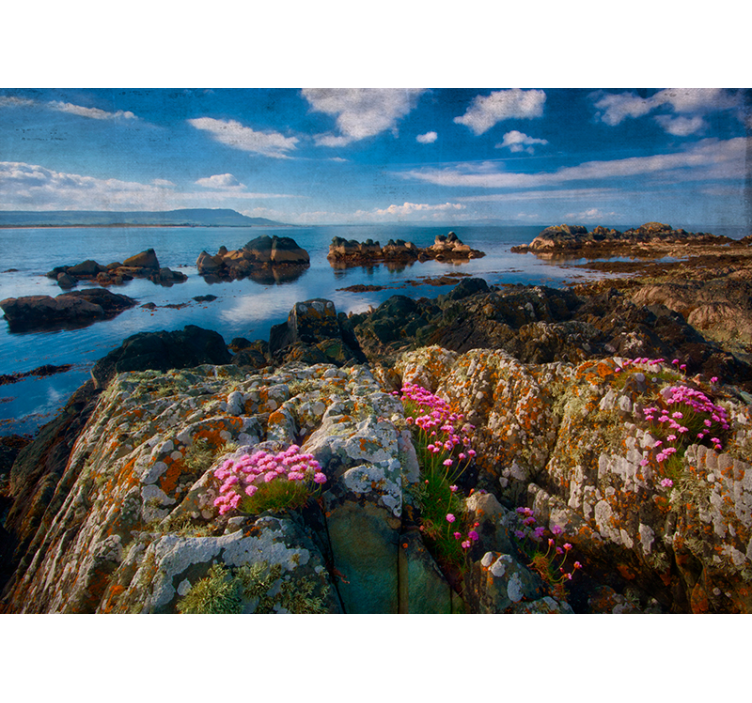 Amazing view Ireland wall mural - TenStickers