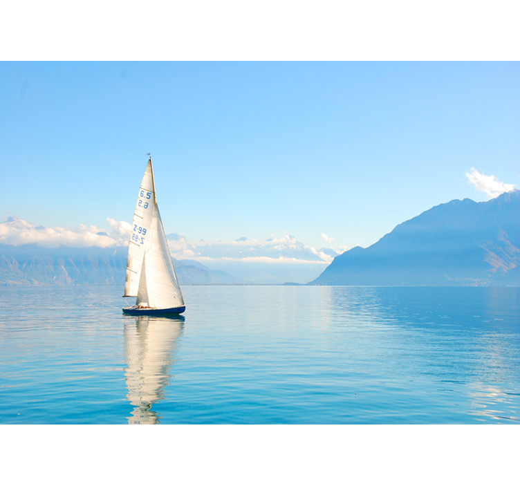 Sailing on water sea animals wall mural - TenStickers