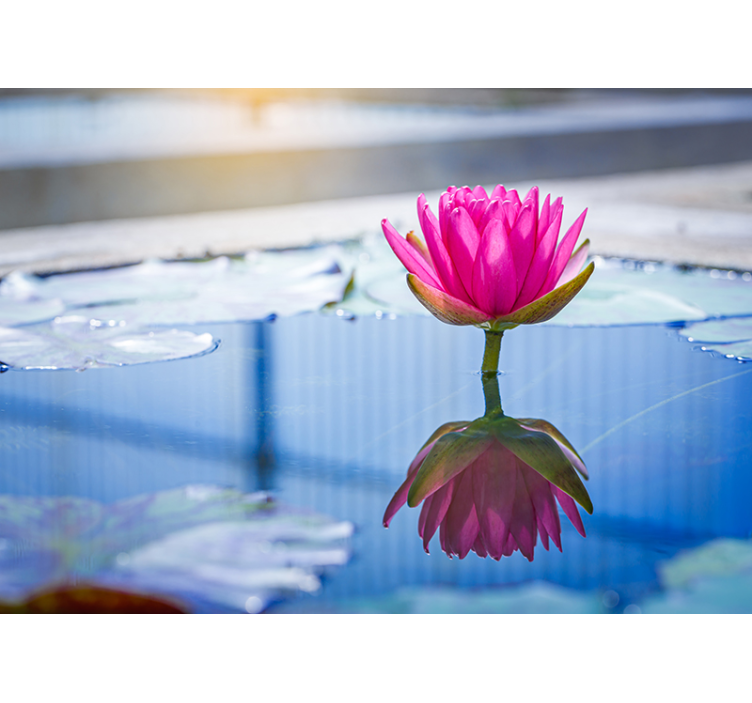 Zen wall mural lotus flower serenity - TenStickers