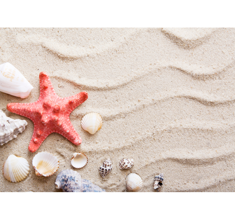 Starfish and Shells sea animals wall mural - TenStickers