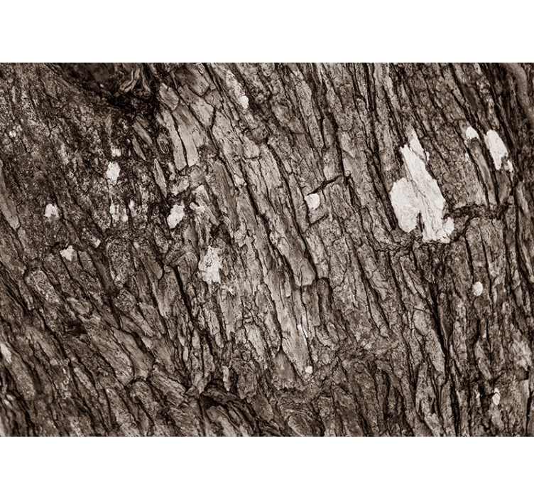 Textured wall mural textured tree bark - TenStickers