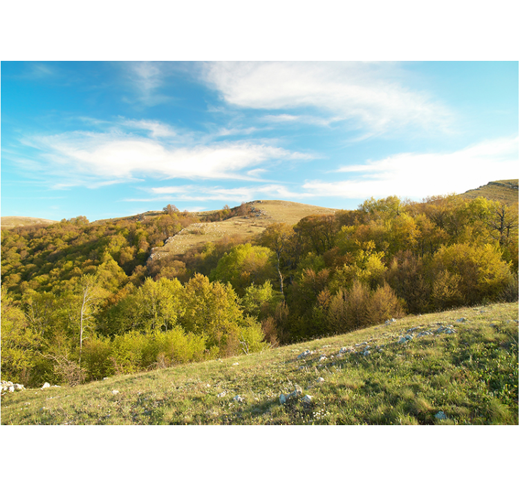 Landscape wall mural rolling hill scene - TenStickers