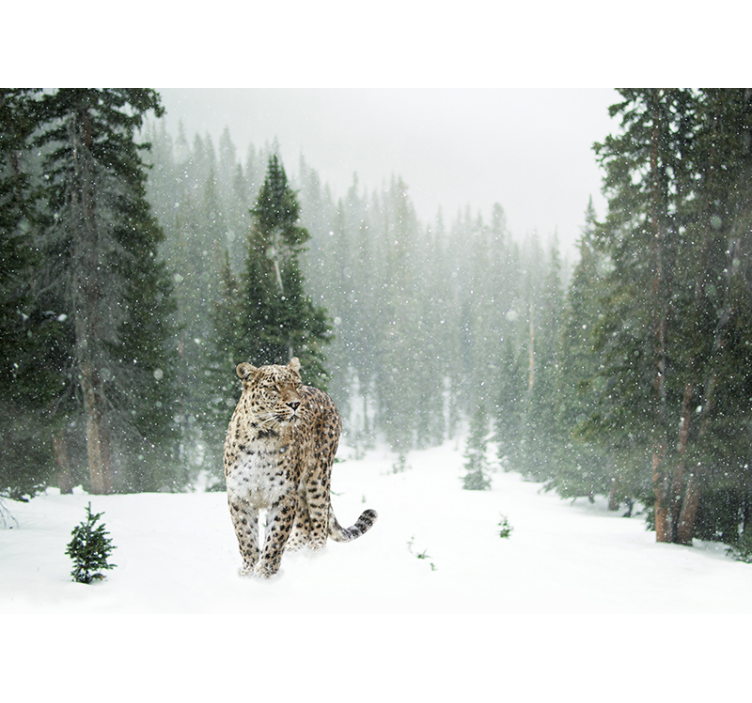 Animal wall mural snowy leopard stroll - TenStickers