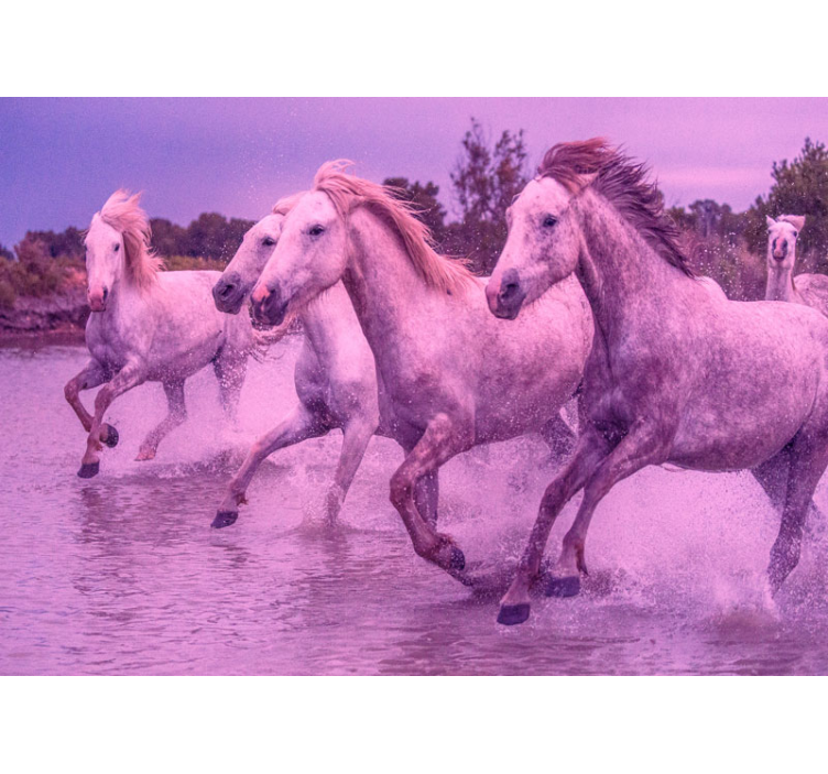Galloping White Horses animal wall mural - TenStickers