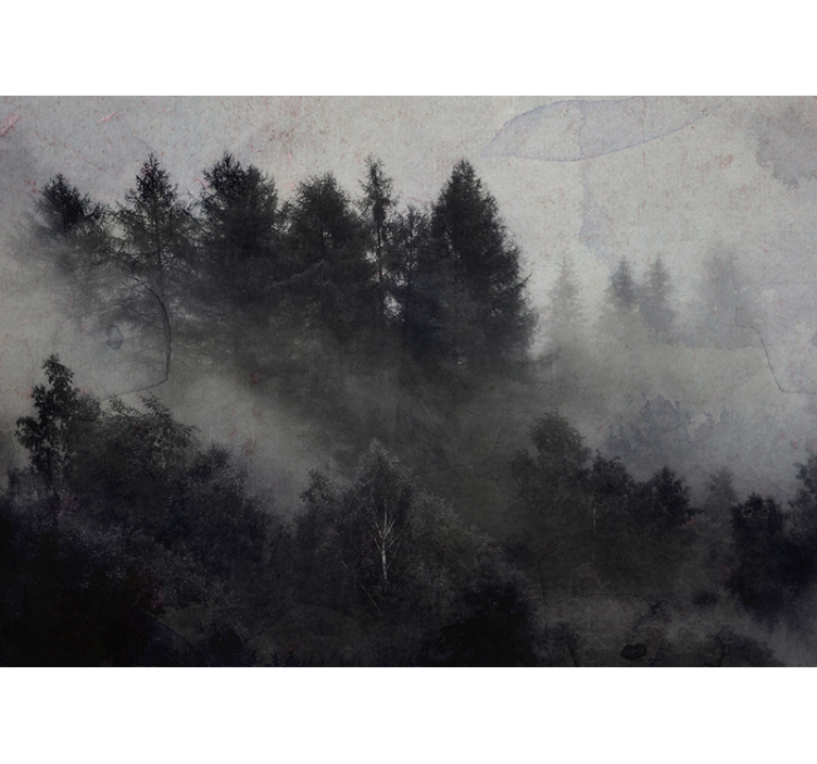 Misty foggy atmosphere forest wall mural - TenStickers