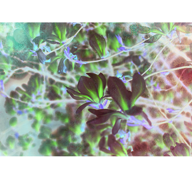 Magnolia Blossom Explosion orchid wall mural - TenStickers