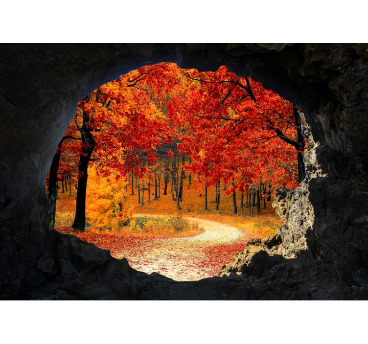 Forest wall mural autumn trail view - TenStickers