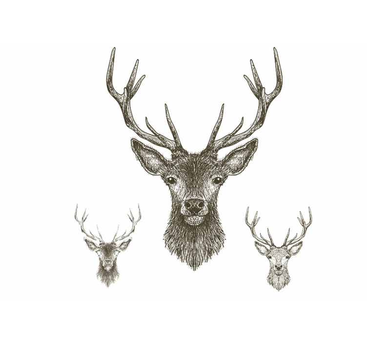 Animal wall mural stag head art - TenStickers