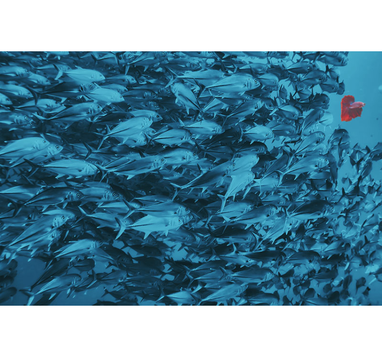 Animal wall mural underwater fish school - TenStickers