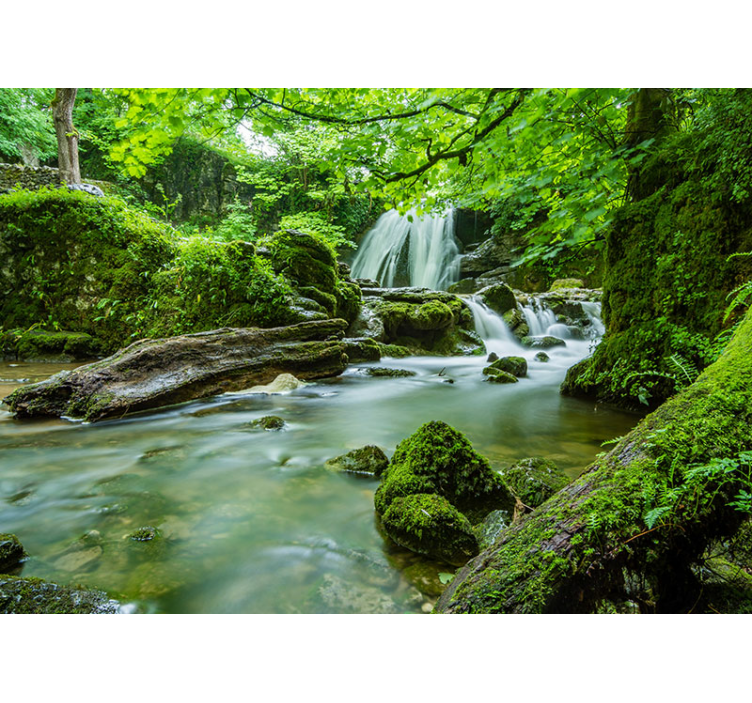 Nature wall mural lush waterfall tranquility - TenStickers