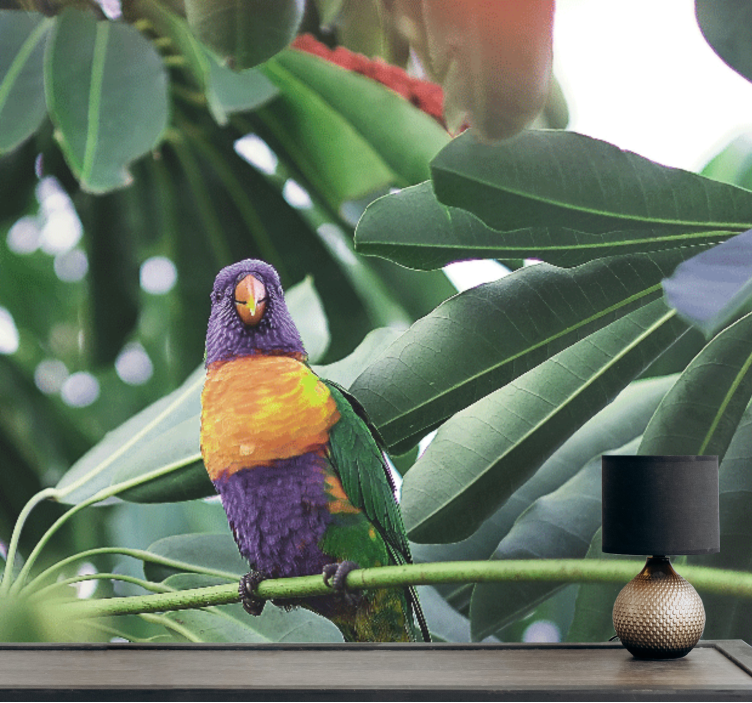 Animal wall mural colorful parrot perched - TenStickers