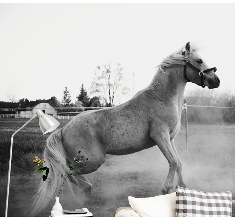 Animal wall mural galloping pony - TenStickers