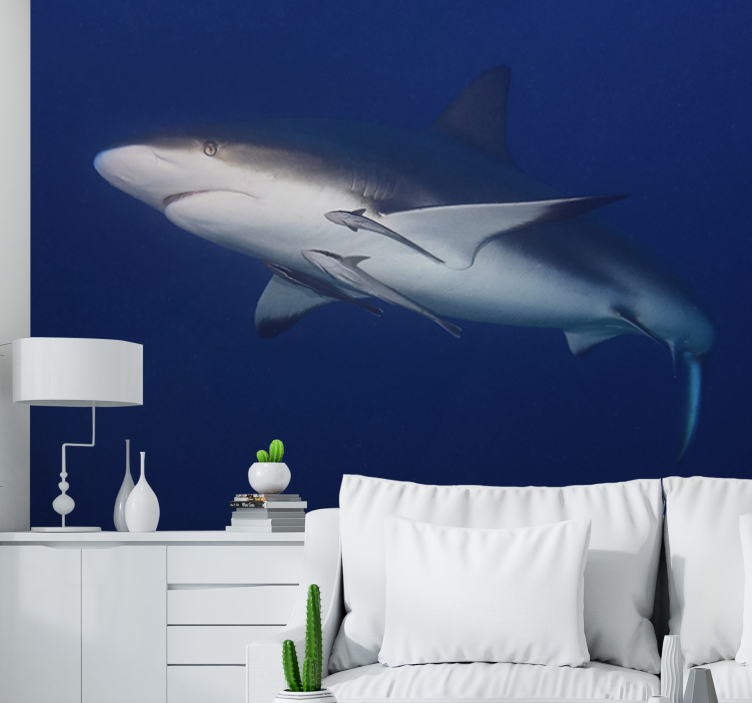 Animal wall mural majestic shark swim - TenStickers