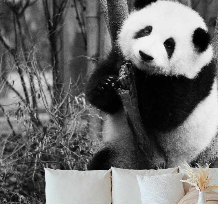 Animal wall mural panda in tree - TenStickers