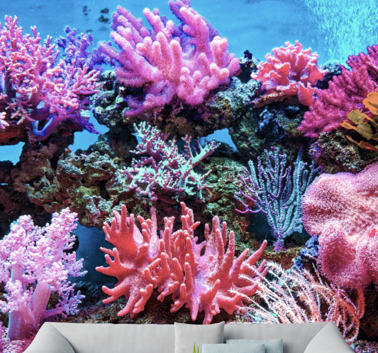 Aquatic Coral Scene sea animals wall mural - TenStickers