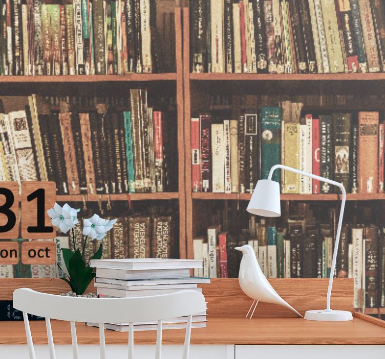 Art wall mural bookshelf with literature - TenStickers