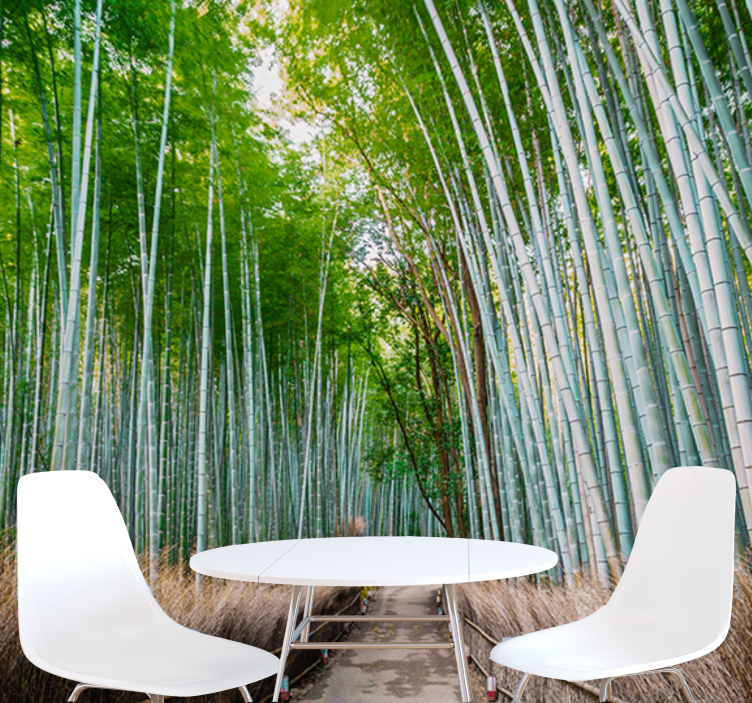 Bamboo wall mural bamboo forest path - TenStickers