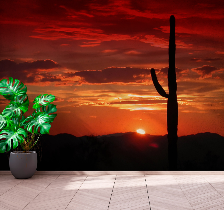 Cactus Sunset Shadow nature wall mural - TenStickers