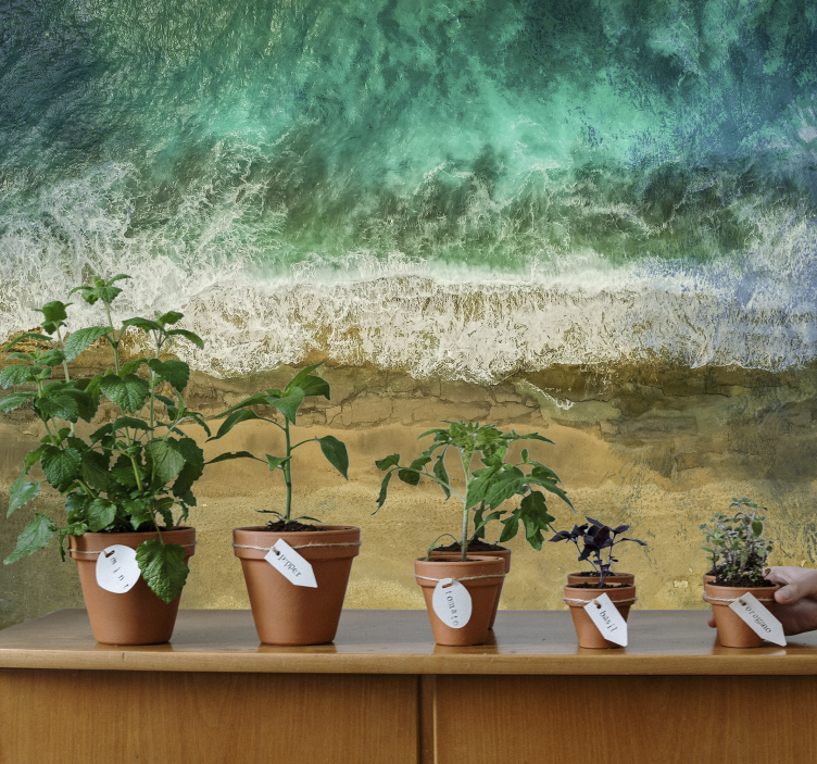 Coastal Plant Arrangement nature wall mural - TenStickers
