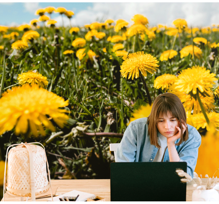 Dandelion wall mural dandelion field perspective - TenStickers
