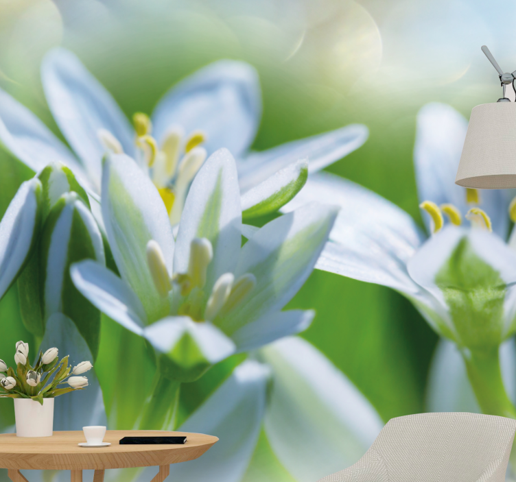 Flower wall mural gentle white blossoms - TenStickers