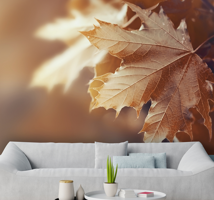 Flower wall mural maple leaf close-up - TenStickers