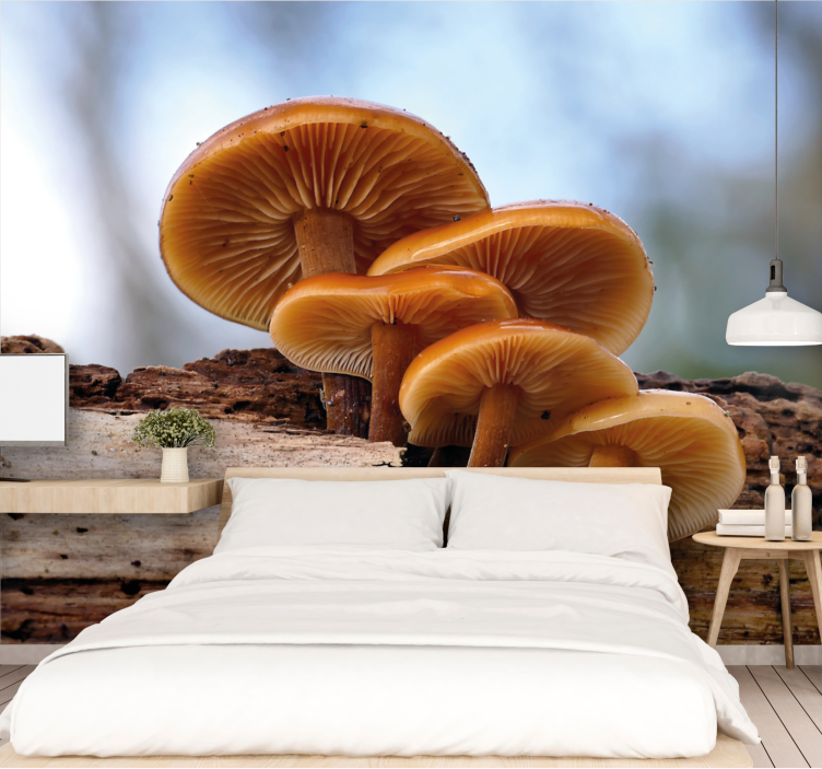 Flower wall mural mushroom cluster design - TenStickers