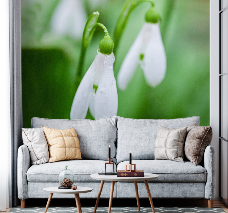 Flower wall mural snowdrop floral elegance - TenStickers