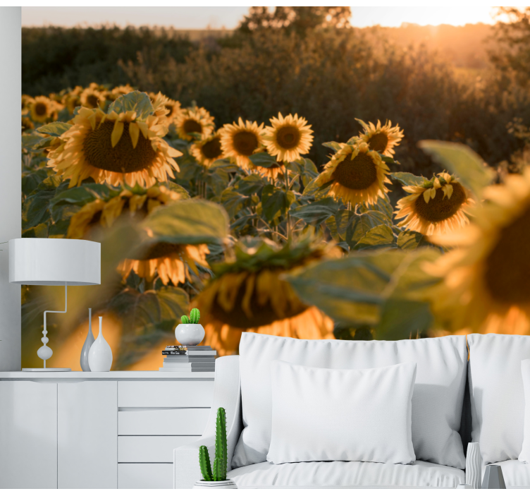 Flower wall mural sunflower field serenity - TenStickers