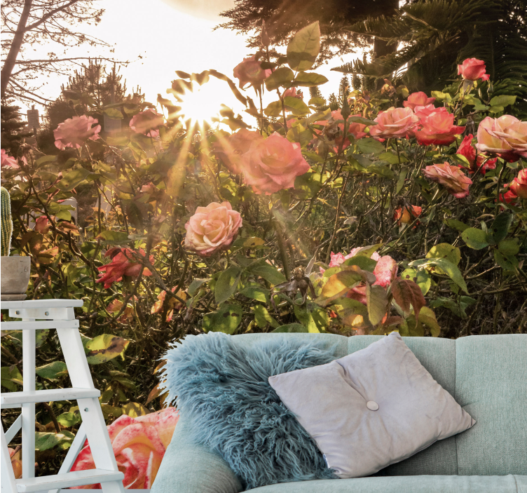 Flower wall mural sunlit rose garden - TenStickers