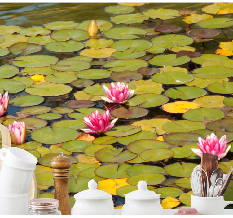 Flower wall mural water lily blooms - TenStickers