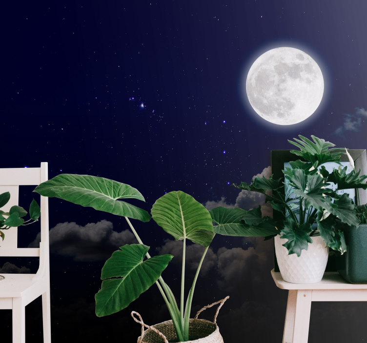 Full moon and sky photo mural - TenStickers