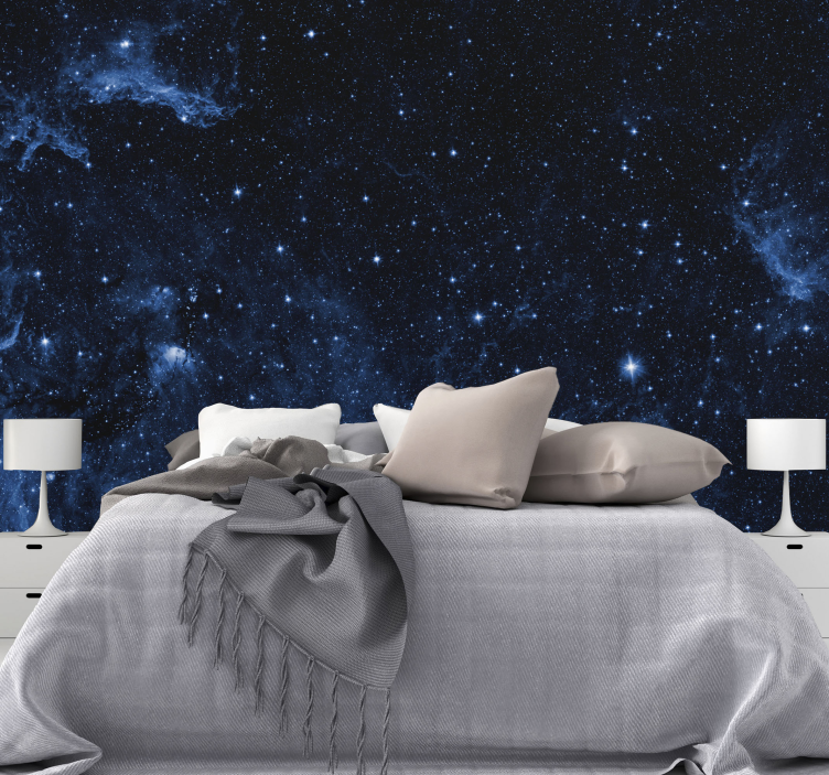 Galaxy bedroom with constellations Wall Murals - TenStickers