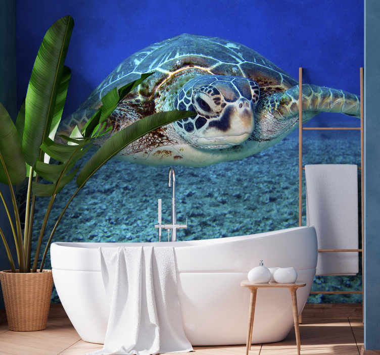 Hawksbill sea turtle animal wall mural - TenStickers