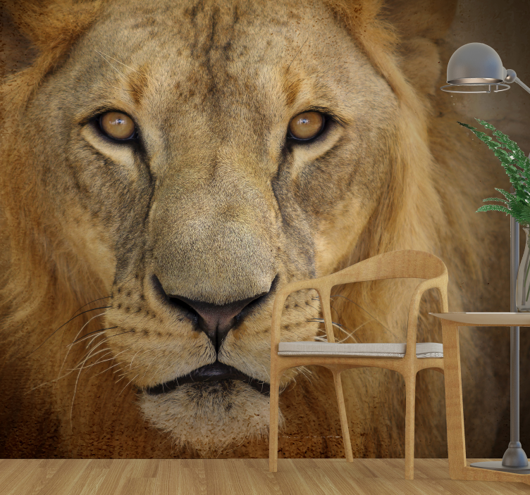 Intense Gaze lion wall mural - TenStickers