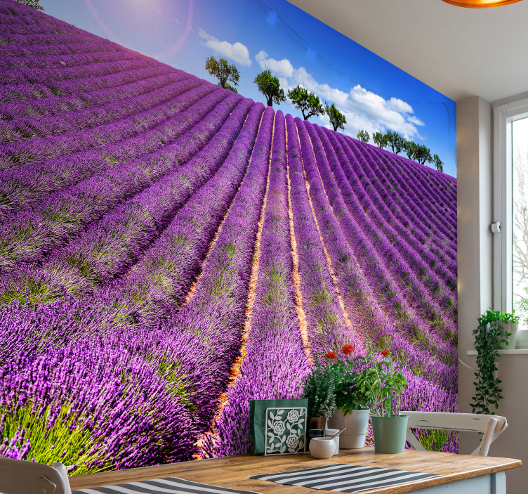 Lavender field wall mural - TenStickers