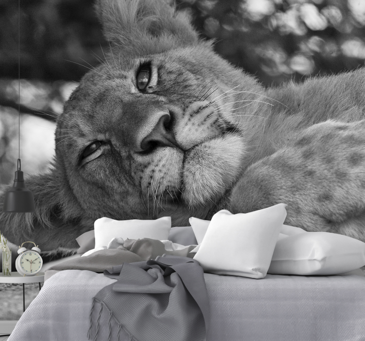 Lion wall mural majestic lion at peace - TenStickers