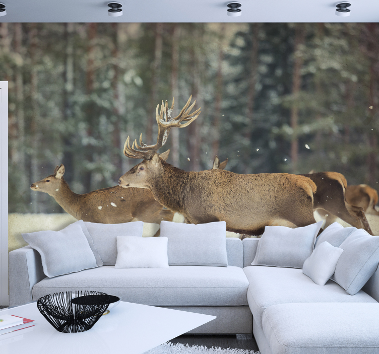 Majestic Deer Herd animal wall mural - TenStickers