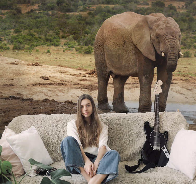 Muddy Elephant wall mural - TenStickers