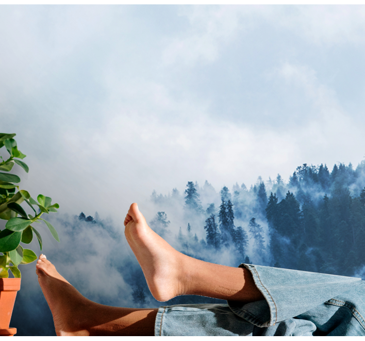 Nature wall mural forest misty landscape - TenStickers