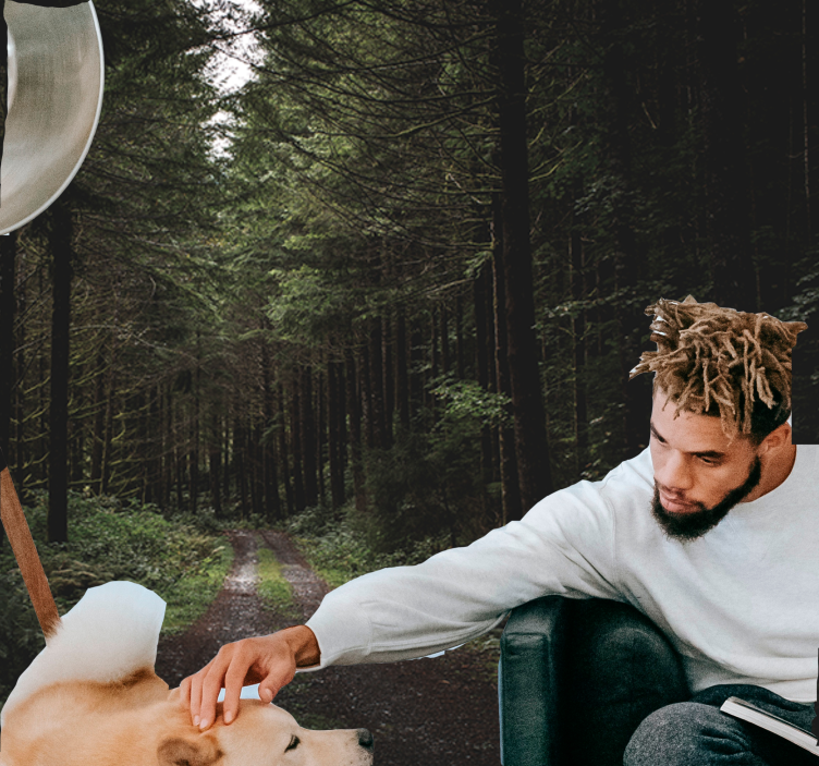 Nature wall mural verdant woodland path - TenStickers