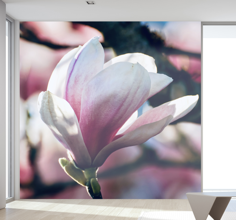 Orchid wall mural gentle pink blossom - TenStickers