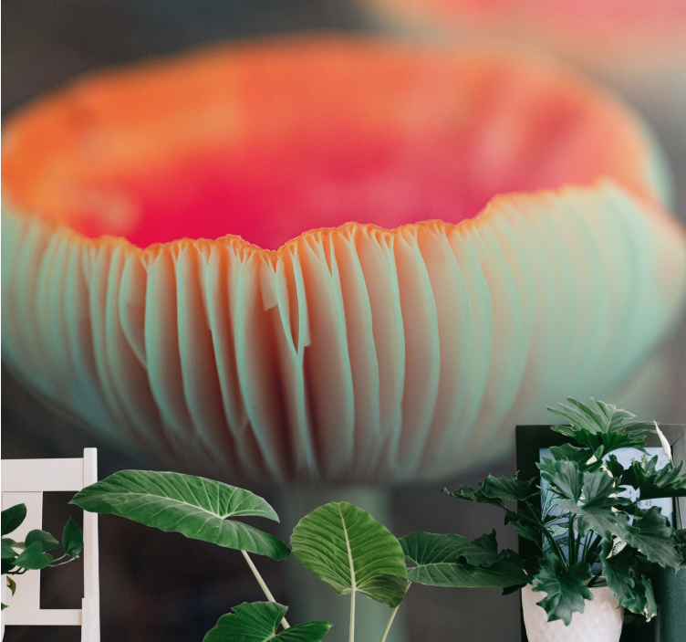 Poppy wall mural elegant poppy blossom - TenStickers